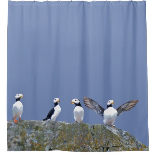 Duschvorhang mit Papageientauchern (Vorderseite)