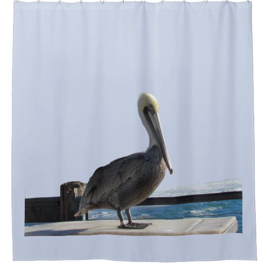 Duschvorhang - Pelican am Pier (Vorderseite)