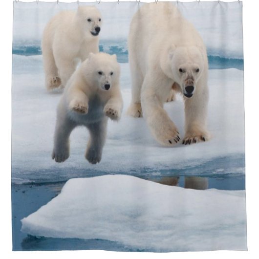 Duschvorhang Polar Bär (Vorderseite)