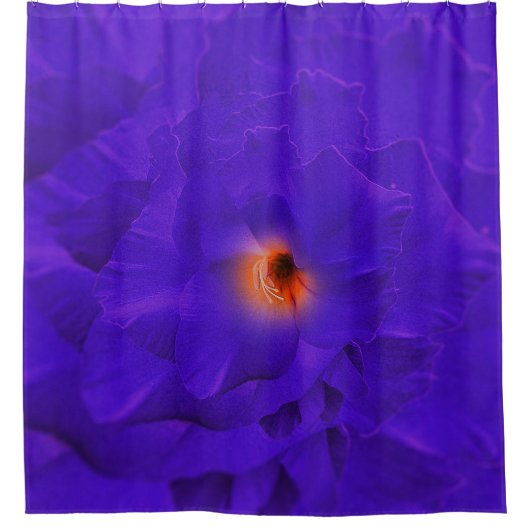 Duschvorhang Schwert Blume Lila Multiplizieren (Vorderseite)