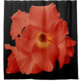 Duschvorhang Schwert Lily rot gelb (Vorderseite)