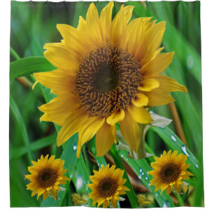 Duschvorhänge mit Sonnenblumen Duschvorhang