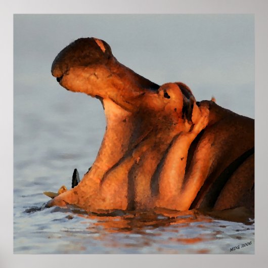 Dusk Hippopotamus Portrait Poster (Vorne)