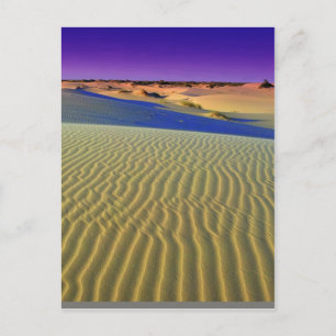Dusk in Monahans Sands Postkarte