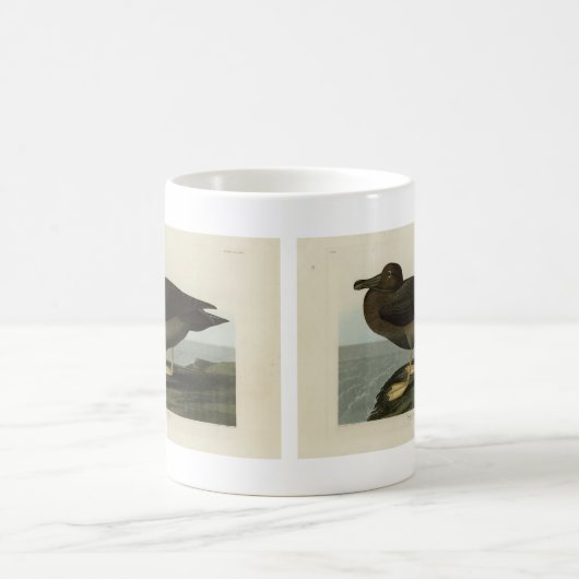Dusky Albatross von Audubons Vögeln in Amerika Kaffeetasse (Mittel)
