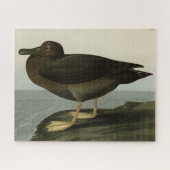Dusky Albatross von Audubons Vögeln in Amerika Puzzle (Horizontal)