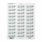 Dusky Blue Mountains Pine Plane Glider Address (Vorne)