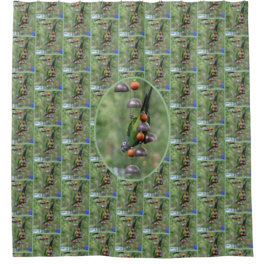 Dusky Conure Papagei Duschvorhang (Vorderseite)