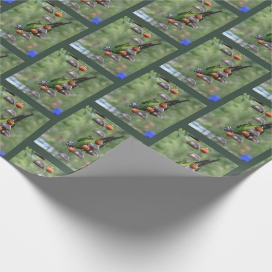 Dusky Conure Papagei Geschenkpapier (Ecke)