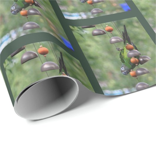 Dusky Conure Papagei Geschenkpapier (Rolleneckpunkt)