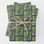 Dusky Conure Papagei Geschenkpapier Set (Beispiel)