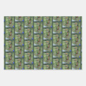 Dusky Conure Papagei   Geschenkpapier Set (Vorderseite)