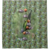 Dusky Conure Parrot Upside Down Bird  Duschvorhang (Vorderseite)