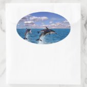 Dusky-Delphine Ovaler Aufkleber (Tasche)