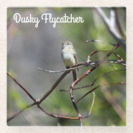 Dusky Flycatcher Glasuntersetzer