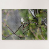 Dusky Flycatcher Puzzle (Horizontal)