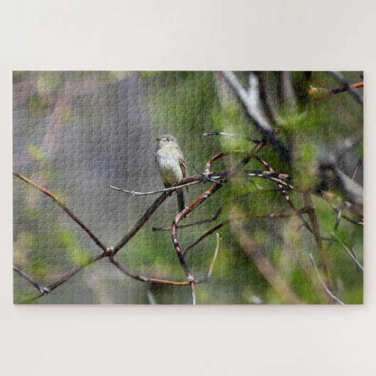 Dusky Flycatcher Puzzle (Horizontal)