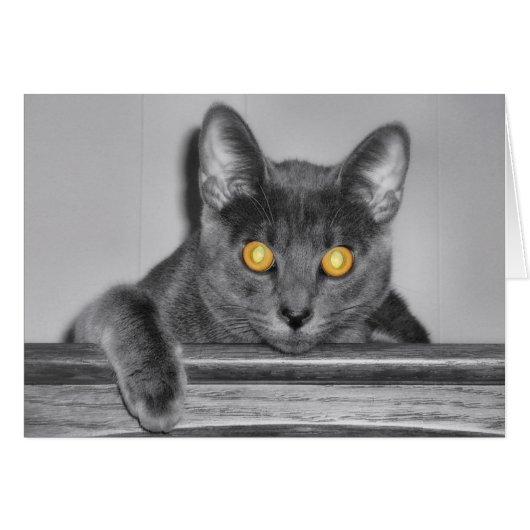 Dusky Gold Card (Vorderseite (Horizontal))