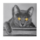 Dusky Gold Decorative Tile Fliese (Vorderseite)