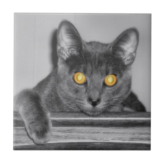 Dusky Gold Decorative Tile Fliese (Vorderseite)