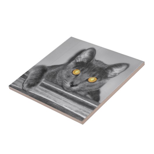 Dusky Gold Decorative Tile Fliese (Seite)