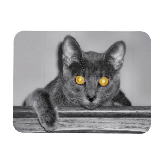 Dusky Gold Flexible Magnet (Horizontal)