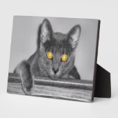 Dusky Gold Foto Plaque Fotoplatte (Seite)