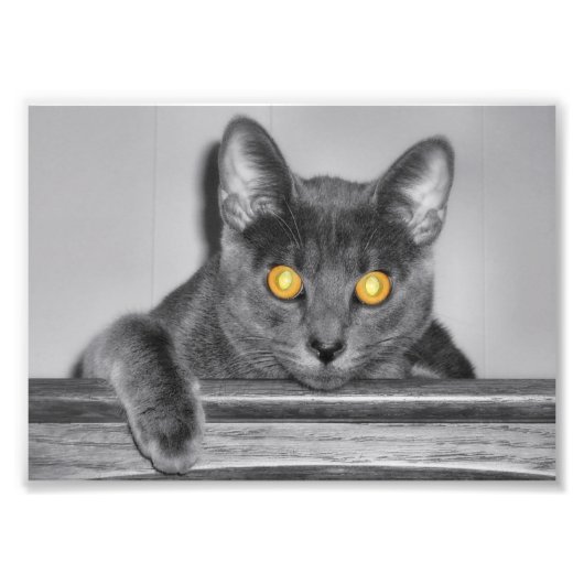 Dusky Gold Foto Print (Vorne)