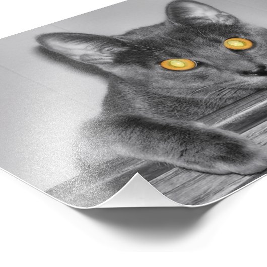 Dusky Gold Foto Print (Ecke)