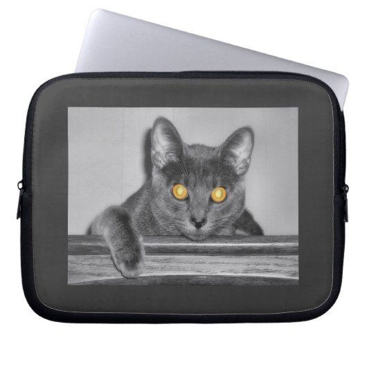 Dusky Gold Laptop Sleeve (Vorderseite)