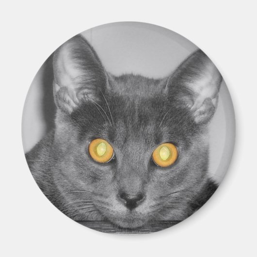 Dusky Gold Magnet (Vorne)