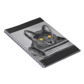 Dusky-Gold-Notebook Notizblock (Rechte Seite)