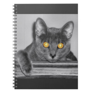 Dusky-Gold-Notebook Notizblock