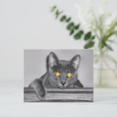 Dusky Gold Postcard Postkarte (Stehend Vorderseite)