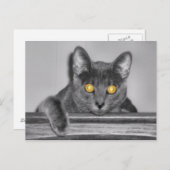 Dusky Gold Postcard Postkarte (Vorne/Hinten)