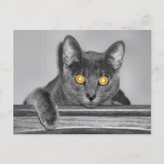 Dusky Gold Postcard Postkarte (Vorderseite)