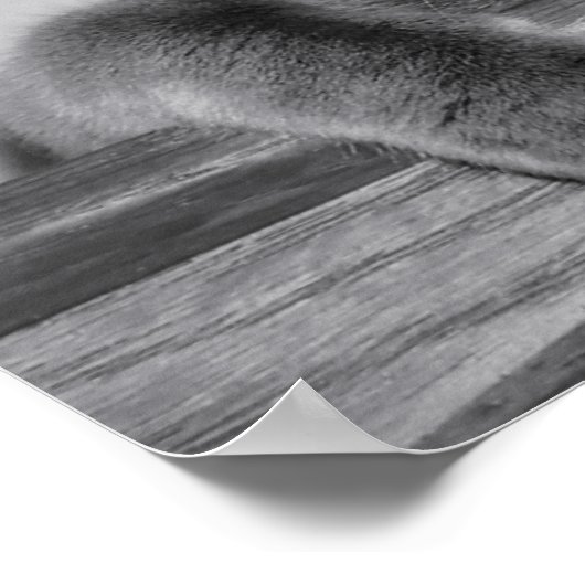 Dusky Gold Print Poster (Ecke)