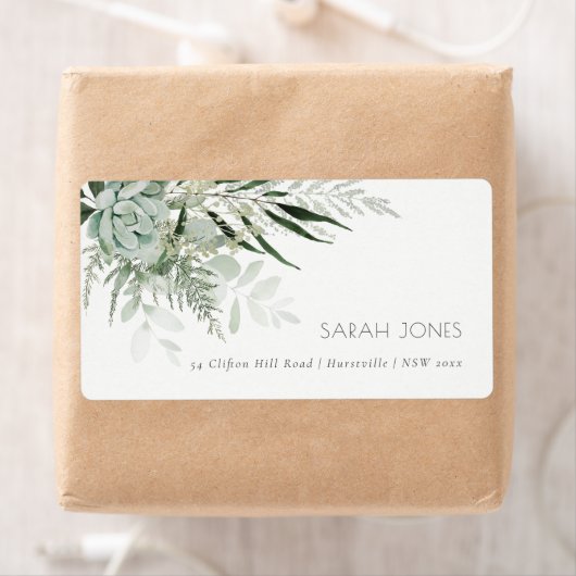 Dusky Green Leafy Fern Succulate Foliage Address (Insitu)