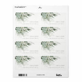 Dusky Green Leafy Fern Succulate Foliage Address (Vorne)