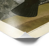 Dusky Grous (Blauer Grouse) Audubon Birds of Ameri Fotodruck (Ecke)