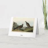 Dusky Grous (Blauer Grouse) Audubon Birds of Ameri Karte (Rückseite)