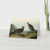 Dusky Grous (Blauer Grouse) Audubon Birds of Ameri Karte (Vorderseite)