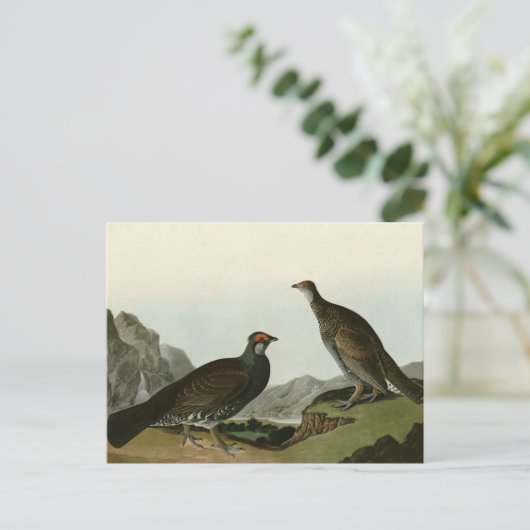Dusky Grous (Blauer Grouse) Audubon Birds of Ameri Postkarte (Stehend Vorderseite)