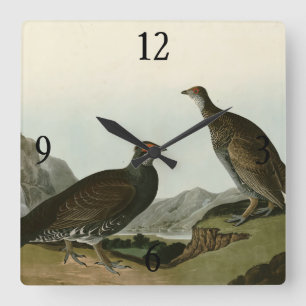 Dusky Grous (Blauer Grouse) Audubon Birds of Ameri Quadratische Wanduhr