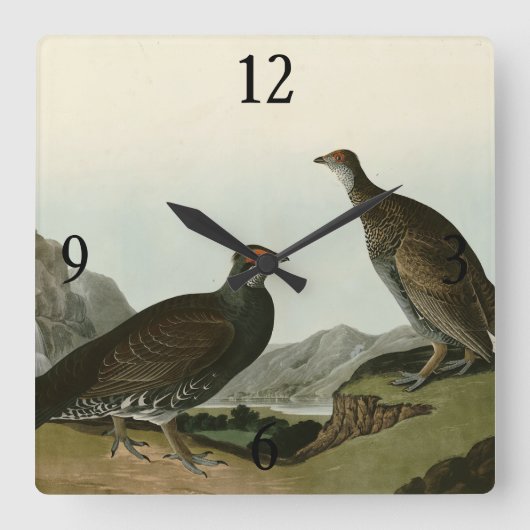 Dusky Grous (Blauer Grouse) Audubon Birds of Ameri Quadratische Wanduhr (Vorderseite)