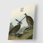 Dusky Grous (Blauer Grouse) Audubon Birds of Ameri Quadratische Wanduhr (Winkel)