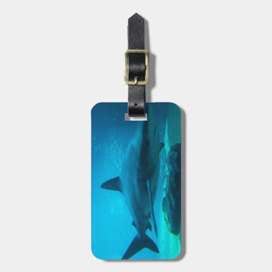 Dusky-Hai (Carcharhinus Obscurus), Ushaka Gepäckanhänger (Vorderseite vertikal)