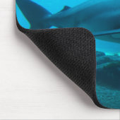 Dusky-Hai (Carcharhinus Obscurus), Ushaka Mousepad (Ecke)