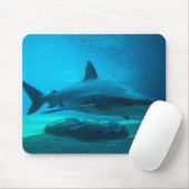 Dusky-Hai (Carcharhinus Obscurus), Ushaka Mousepad (Mit Mouse)