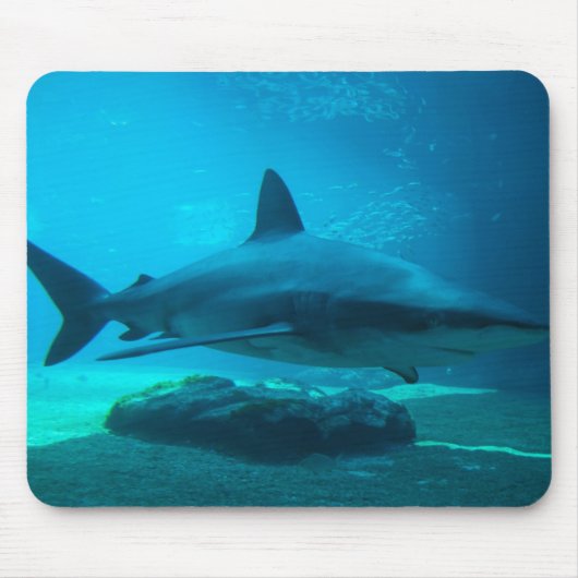 Dusky-Hai (Carcharhinus Obscurus), Ushaka Mousepad (Vorne)
